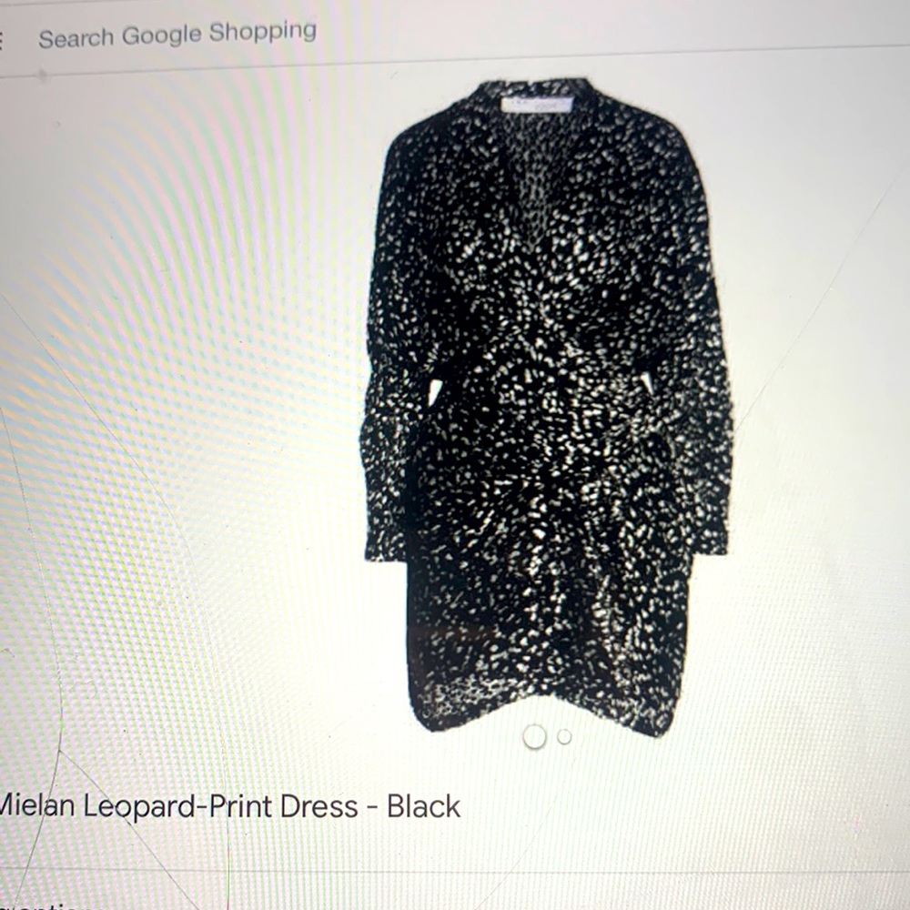 IRO Mielan Leopard Print dress